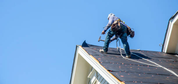 Best Flat Roof Repair Services  in Hugo, MN